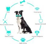 Toothbrush Dog Chew Toy, Stick Bone for Cleaning Dog Teeth, Toothbrush, Teething Chew Toys, Dental Oral Care for Small, Medium and Large Dogs (Blue) - Image 7