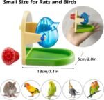 Rat Enrichment Toys, Interactive Foraging Toys for Rats, Intelligence Growth Rat Enrichment Puzzle Games, Treat Dispensing Slow Feeder for Rats Cage Toy, Bird Foraging Toy for Parakeet Conure - Image 5