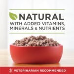 Purina ONE Classic Ground True Instinct Wet Dog Food, Turkey & Venison - 368 g Can (12 Pack) - Image 9