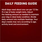 Purina ONE Classic Ground True Instinct Wet Dog Food, Turkey & Venison - 368 g Can (12 Pack) - Image 12