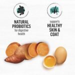 Beyond Grain Free Natural Dry Cat Food, Wild-Caught Whitefish & Free Run Egg - 2.26 kg Bag - Image 6