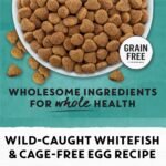 Beyond Grain Free Natural Dry Cat Food, Wild-Caught Whitefish & Free Run Egg - 2.26 kg Bag - Image 10