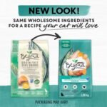 Beyond Grain Free Natural Dry Cat Food, Wild-Caught Whitefish & Free Run Egg - 2.26 kg Bag - Image 11