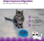 Catstages Kitty Slow Feeder Cat Bowl, Blu - Image 5