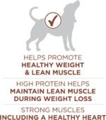 Purina ONE +Plus Dry Dog Food, Healthy Weight with Turkey - 7 kg Bag - Image 6