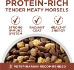 Purina ONE +Plus Dry Dog Food, Healthy Weight with Turkey - 7 kg Bag - Image 9