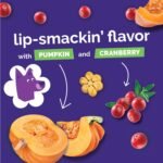 Fruitables Crunchy Dog Treats, Pumpkin & Fruit (Variety Pack of 4, 7-oz Pouches) - Image 8