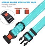 Reflective Nylon Dog Collar – Soft Neoprene Padded, Reflective and Adjustable - Dog Collars for Small Medium Large Dogs - Image 7