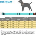 Reflective Nylon Dog Collar – Soft Neoprene Padded, Reflective and Adjustable - Dog Collars for Small Medium Large Dogs - Image 8