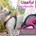 Eagloo Dog Harness No Pull, Walking Pet Harness with 2 Metal Rings and Handle, Adjustable Reflective Breathable Oxford Soft Easy Control Vest for Small Medium Large Dogs, Rose Red, L - Image 6