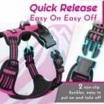 Eagloo Dog Harness No Pull, Walking Pet Harness with 2 Metal Rings and Handle, Adjustable Reflective Breathable Oxford Soft Easy Control Vest for Small Medium Large Dogs, Rose Red, L - Image 7