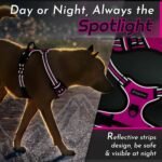 Eagloo Dog Harness No Pull, Walking Pet Harness with 2 Metal Rings and Handle, Adjustable Reflective Breathable Oxford Soft Easy Control Vest for Small Medium Large Dogs, Rose Red, L - Image 9