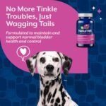 Healthy Bladder Support Supplement for Dogs, Chewable Tablet with Cranberry, Healthy Bladder Control and Urination, Immune System Support, Made by NaturVet, 60 Count (Pack of 1) - Image 4