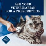 Blue Buffalo Natural Veterinary Diet HF Hydrolyzed for Food Intolerance Dry Cat Food, Veterinarian Prescription Required, Salmon, 7-lb. Bag - Image 8