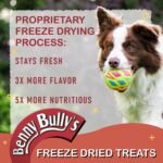 Benny Bullys NutriMix Beef Liver Dog Treats, Freeze Dried, High Protein, Low Fat, Nutrient Rich, Natural Flavor Enhancer & Nutrition Fortifier for Active Dogs - 200g (Economy) - Image 8