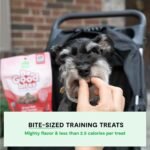 Open Farm, Be Good Bites, Soft Dog Training Treats, Small & Chewy, Made with Ethically & Sustainably Sourced Ingredients, Non-GMO Fruits & Grains, Grass-Fed Beef Recipe, 6oz Pouch - Image 3