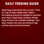 Purina ONE Classic Ground Wet Dog Food, Beef & Brown Rice Entree - 368 g Can (12 Pack) - Image 11