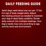 Purina ONE Classic Ground Wet Dog Food, Beef & Brown Rice Entree - 368 g Can (12 Pack) - Image 12