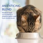 INABA Churu Stew for Cats, Side Dish Pouch with Vitamin E, 39 Grams per Pouch, 12 Pouches, Chicken & Seafood Variety - Image 7