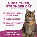 Cat Weight Gain & Hyperthyroidism Treatment, Safe and Effective Cat Appetite Stimulant, Thyroid and Metabolic Support, Weight Management Remedy, 400 All-Natural Odorless, Tasteless Pills - Image 4