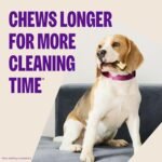 WHIMZEES WHZ324 Natural Grain Free Dental Dog Treats, Veggie Sausage, Bag of 28 Small - Image 6