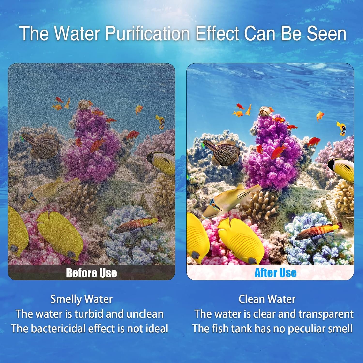 6/12 Pack Fish Tank Filter Cartridges for Marina Slim Filters S10/S15/S20 - Quadruple Filtration - Replacement Filter Cartridges for Marina Slim Filters - Image 5