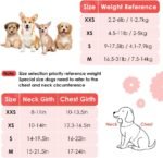 Lukovee Puppy Harness and Leash Set, No Pull Lightweight Pet Harness Vest for Puppy Small and Medium Size Dog, Adjustable Soft Suede Dog Leash Set (Flower-XXS) - Image 3