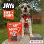 Jay's Soft & Chewy My Mighty Wolf Duck Dog Treats 454g Made in Canada - Image 3