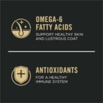 Purina Pro Plan Dry Dog Food, Focus, Adult Sensitive Skin & Stomach Lamb & Oat Meal Formula, 24-Pound Bag, Pack of 1 - Image 4