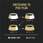 Purina Pro Plan Dry Dog Food, Focus, Adult Sensitive Skin & Stomach Lamb & Oat Meal Formula, 24-Pound Bag, Pack of 1 - Image 9