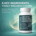 All-in-One Sea Moss 1000 mg with Black Seed Oil, Ashwagandha, Burdock Root & Turmeric (Per Serving: 2 Capsules) – Daily Wellness Supplement for Energy, Balance & Overall Vitality – Made in Canada - Image 4