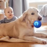 2 Automatic Moving Ball Toy for Cats and Dogs – Intelligent Indoor Pet Toy Dispels Boredom and Entertains with Light – USB Charging – Fun Present for Kitten and Puppy (Blue&Orange) - Image 5