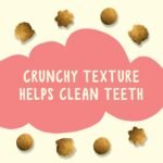 Friskies Party Mix Cat Treats (Cheezy Craze Crunch 454g and Seaside Crunch 454g Canisters) - Image 8