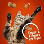 Friskies Party Mix Cat Treats, Gravy-licious Crunch Chicken and Gravy - 170 g Pouch (1 Pack) - Image 7