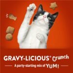 Friskies Party Mix Cat Treats, Gravy-licious Crunch Chicken and Gravy - 170 g Pouch (1 Pack) - Image 9