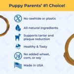 N-Bone Puppy Teething Ring Pumpkin Flavor 7.2 Oz/(6 Pack) - Image 5