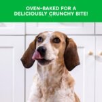 Open Farm Better Biscuits, Oven Baked Dog Treats with Probiotics, Chicken & Oatmeal Recipe, 8oz Pouch - Image 4