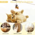 12 Pcs Cat Feather Toys, Cat Wand Attachments Cat Wands Replacement with Bell, Cats Toy Refills Feather Teaser Cats Toy Interactive Wand Toy for Playing Catcher and Exercising - Image 6