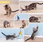 12 Pcs Cat Feather Toys, Cat Wand Attachments Cat Wands Replacement with Bell, Cats Toy Refills Feather Teaser Cats Toy Interactive Wand Toy for Playing Catcher and Exercising - Image 8