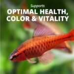 Tetra Tropical Colour Crisps Fish Food with Natural Colour Enhancers, 75g, Yellow (77079) - Image 5