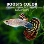 Tetra Tropical Colour Crisps Fish Food with Natural Colour Enhancers, 75g, Yellow (77079) - Image 6