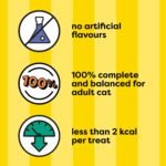 Temptations Wacky Blasts Cat Treats, Nautical 'Nip Flavour, 454g Tub - Image 7