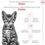 Royal Canin Feline Health Nutrition Kitten Spayed/Neutered Dry Cat Food, 2.5 lb Bag - Image 3