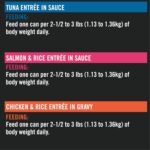 Pro Plan Wet Cat Food, Salmon & Rice, Chicken & Rice, Tuna Variety Pack 85g can (12 pack) - Image 11