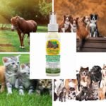 Citrobug Essential Oils Based Insect Repellent for Dogs and Horses - No Deet, 122 ml - Image 5