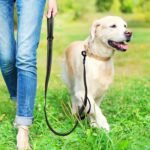Dog Leash for Medium to Large Dogs with Two Padded Handles 5FT/6FT, Double Handle Dog Leash, Reflective Training Lead, Durable Traffic Leashes(5FT,Black) - Image 7