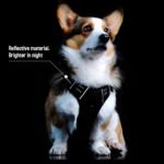 SK Depot® Dog Harness Small Chest 15.7"-27.6" No-Pull Pet Harness with Leash Clips, Adjustable Soft Padded Dog Vest Harness, No Choke Pet Oxford Vest Easy Control Handle for Medium Dogs (S, Orange) - Image 5