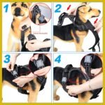 SK Depot® Dog Harness Small Chest 15.7"-27.6" No-Pull Pet Harness with Leash Clips, Adjustable Soft Padded Dog Vest Harness, No Choke Pet Oxford Vest Easy Control Handle for Medium Dogs (S, Orange) - Image 8