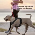SK Depot® Dog Harness Small Chest 15.7"-27.6" No-Pull Pet Harness with Leash Clips, Adjustable Soft Padded Dog Vest Harness, No Choke Pet Oxford Vest Easy Control Handle for Medium Dogs (S, Orange) - Image 9