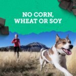 Zuke's Dog Treats, Hip and Joint Support Chicken Recipe - 170 g Pouch (1 Pack) - Image 9